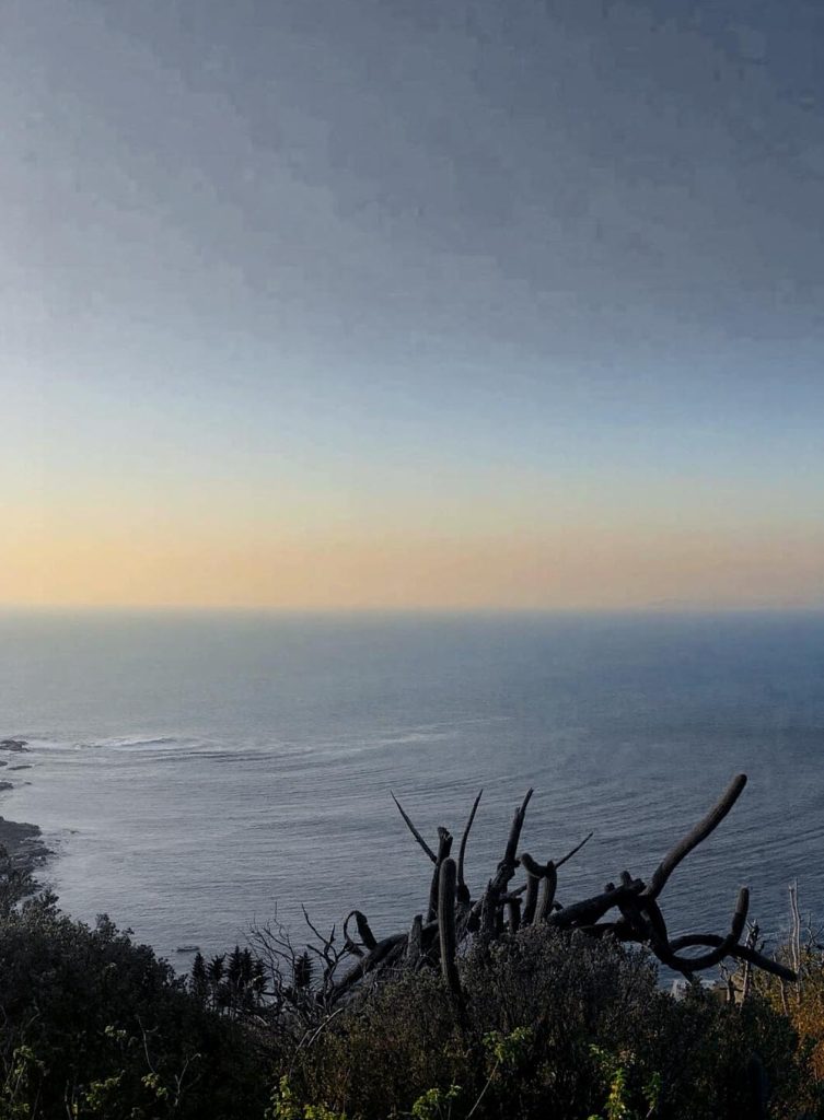Punta Pite